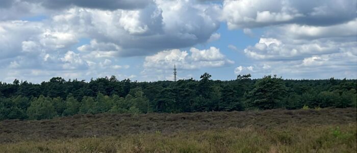 WhatsApp Image 2025-11-19 at 16.00.46 (1)