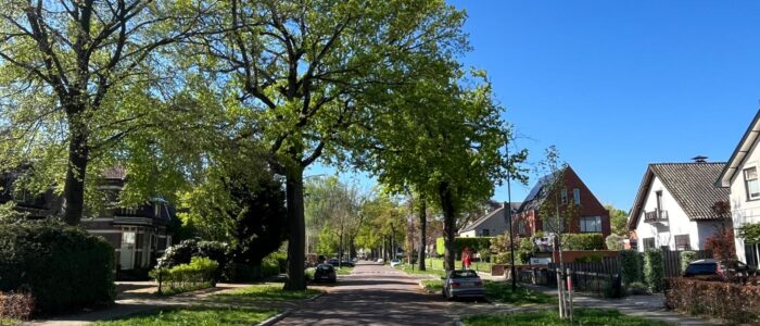 WhatsApp Image 2025-11-19 at 16.00.46