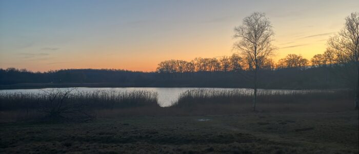 CB6ECE97-3180-43B3-A706-8A17B06B0758